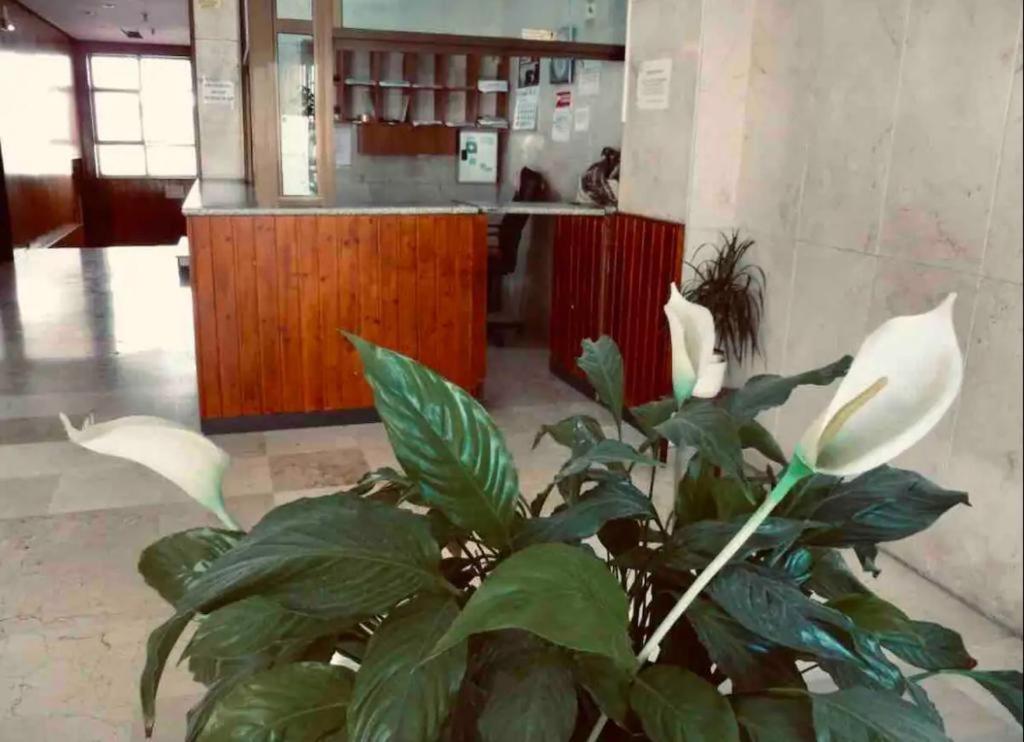 Apartmán La Posada Del Viajero Torremolinos Exteriér fotografie